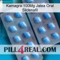 Kamagra 100Mg Oral Jelly Sildenafil viagra4